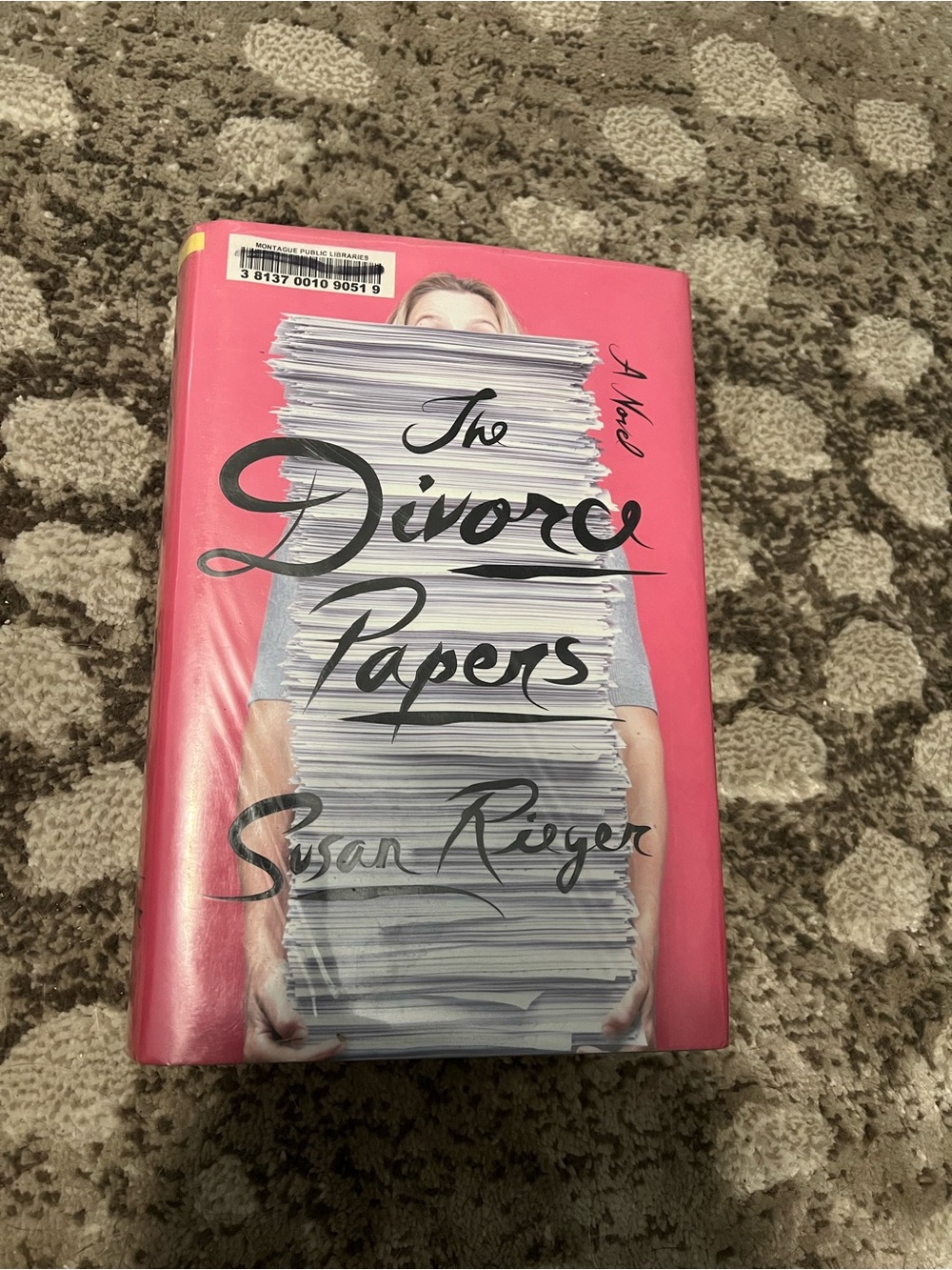 ALL BOOKS 6 for $20 | The Divorce Papers by Susan Rieger